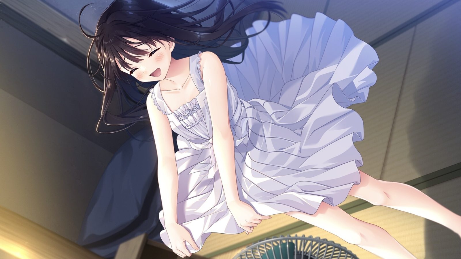 痴情哥哥与病弱妹妹的乡间生活DLC1 Steam游戏 详情图 2